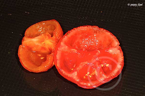 monder tomate12