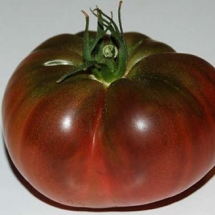 6-tomate-noire-crimee